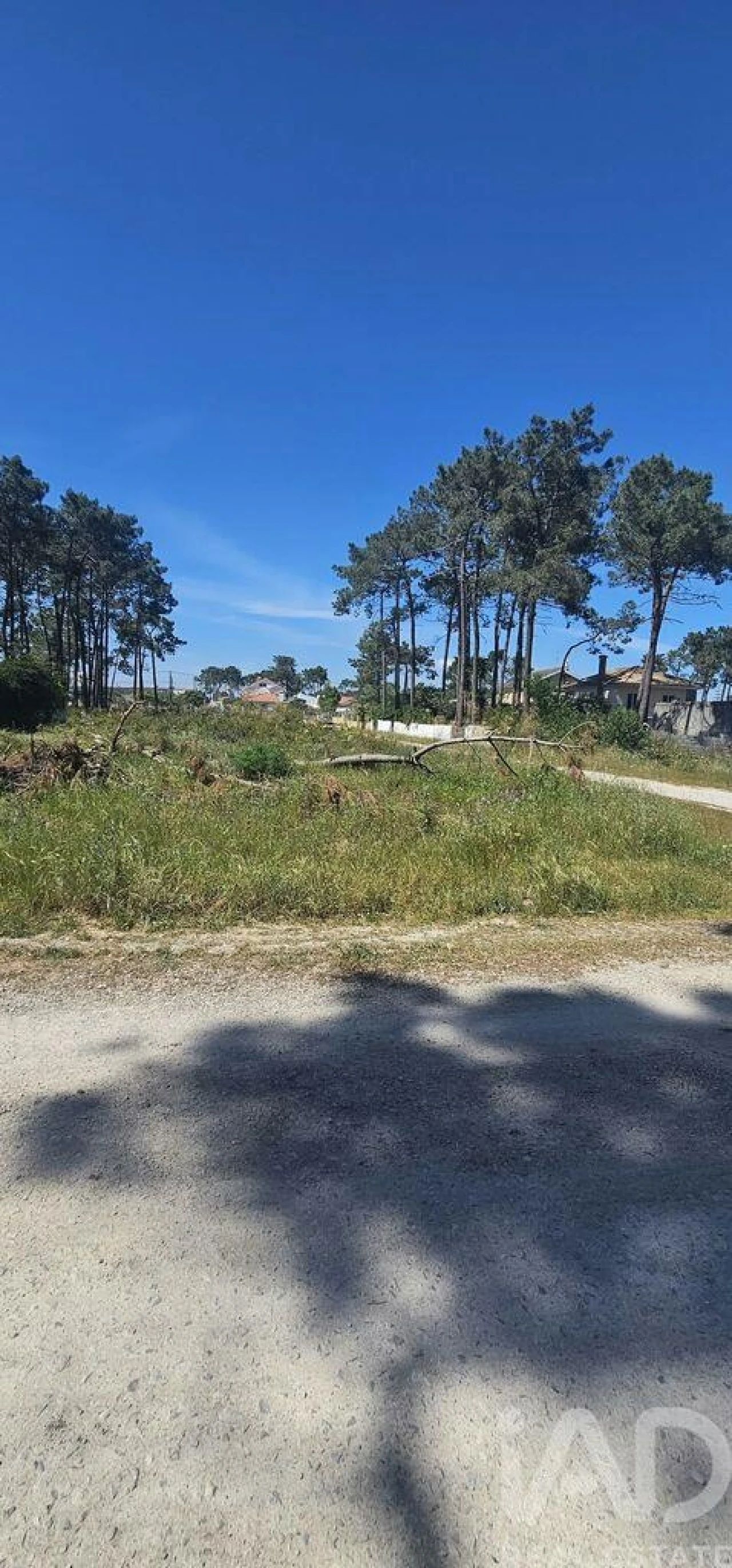 Terreno para Venda em Charneca de Caparica e Sobreda Foto 2