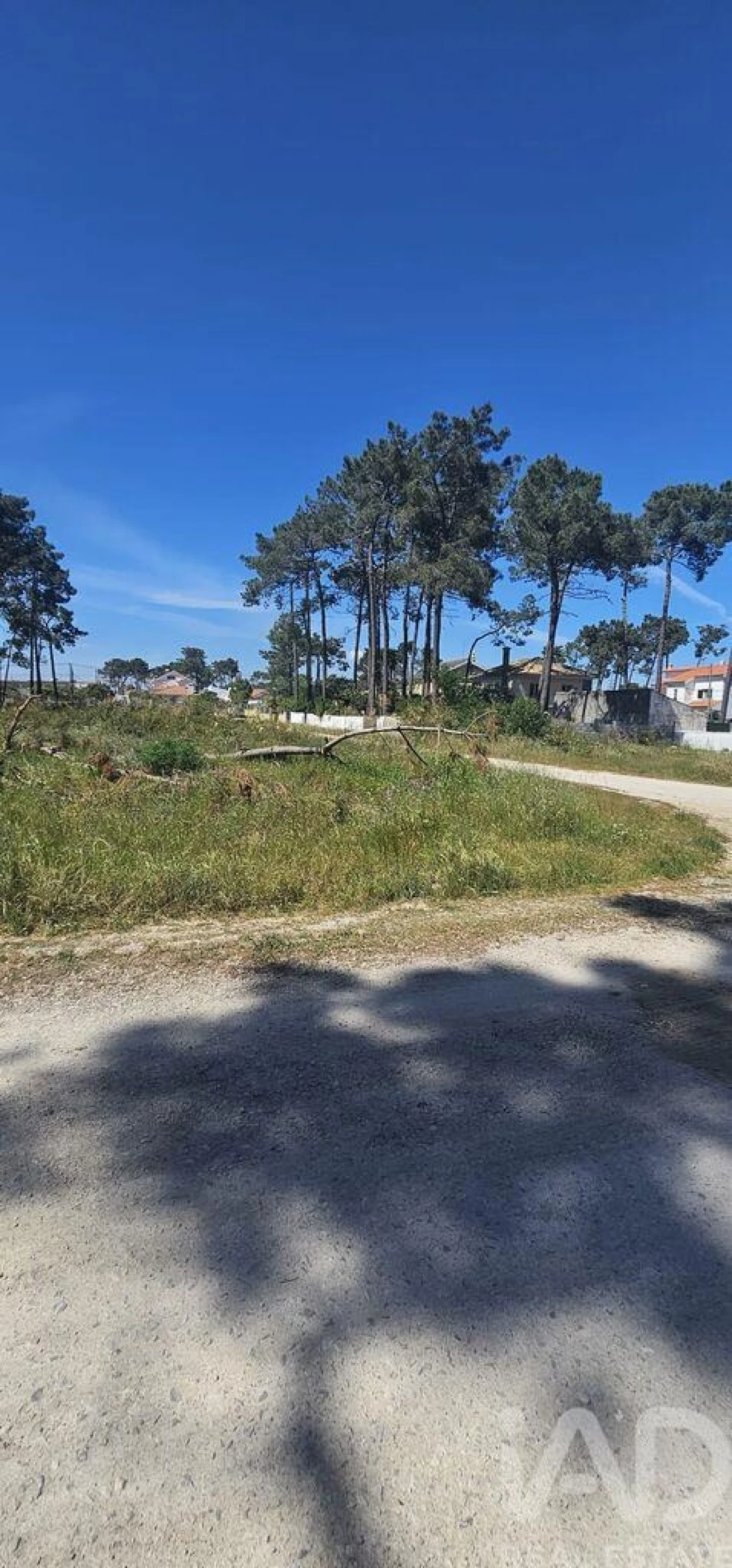 Terreno para Venda em Charneca de Caparica e Sobreda Foto 1