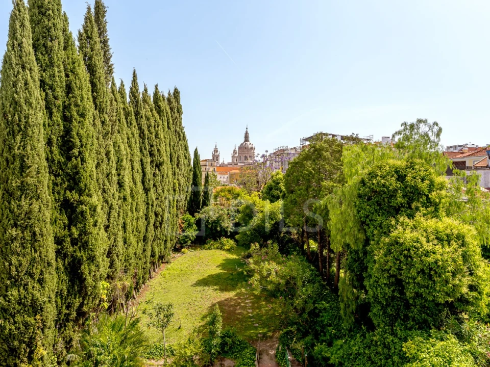 Apartamento T3 para Venda em Estrela Foto 4