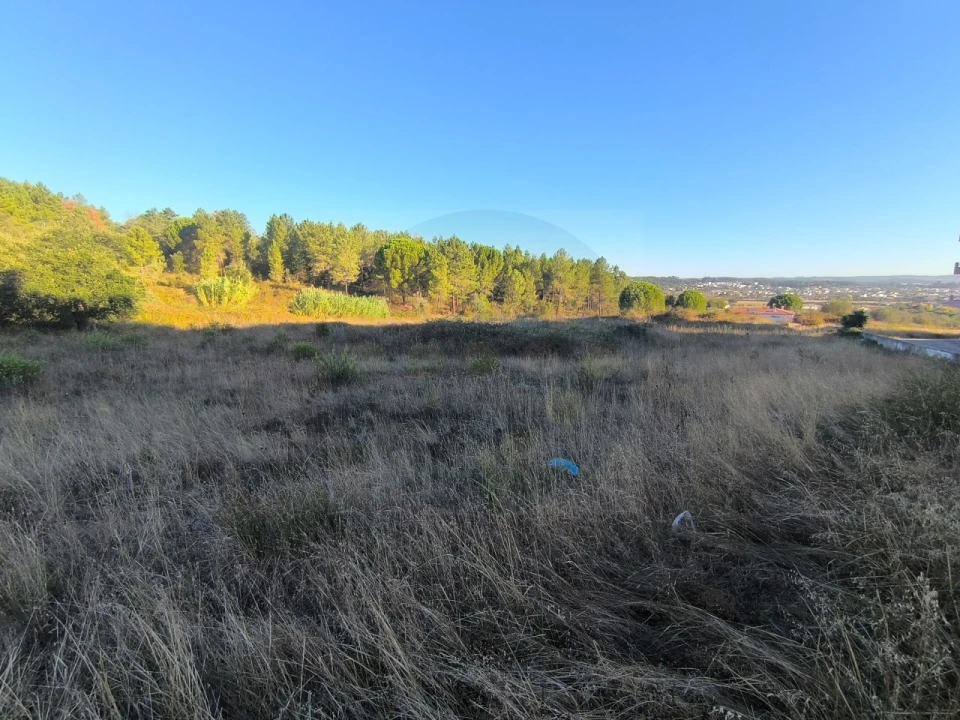 Terreno para Venda em Abrantes (São Vicente e São João) e Alferrarede Foto 2