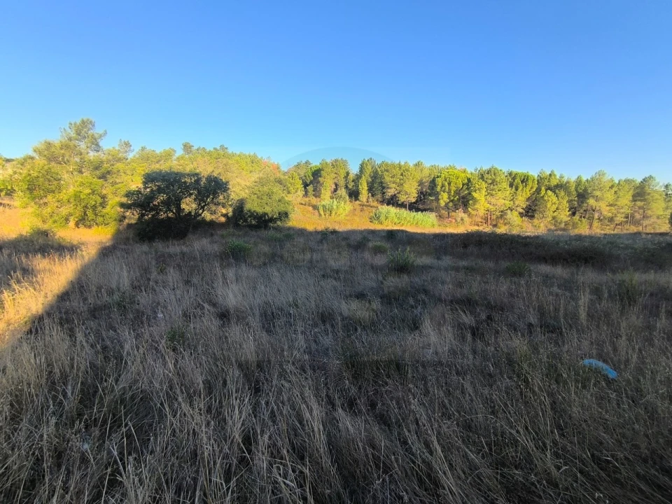Terreno para Venda em Abrantes (São Vicente e São João) e Alferrarede Foto 3