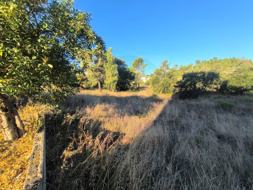 Terreno para Venda em Abrantes (São Vicente e São João) e Alferrarede Foto 4