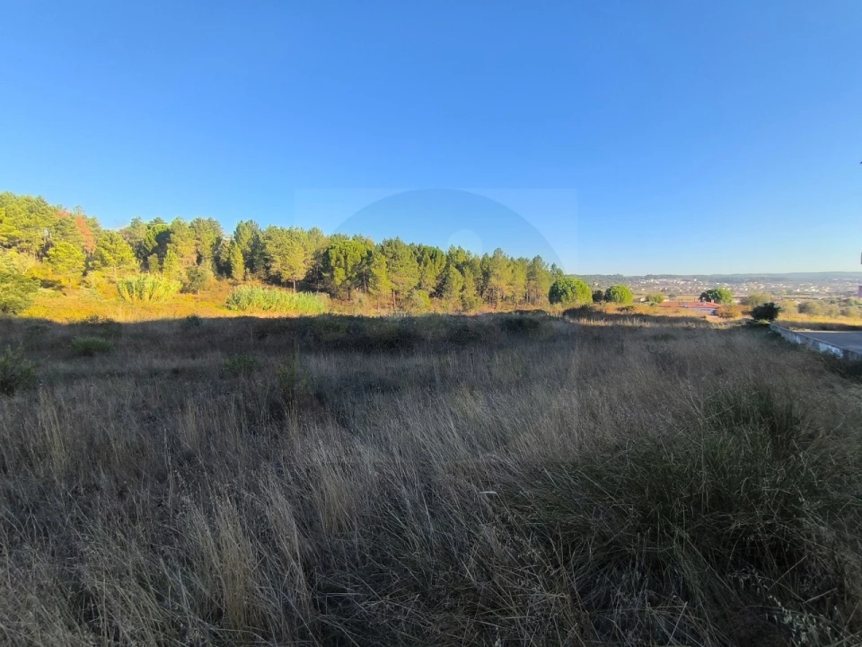 Terreno para Venda em Abrantes (São Vicente e São João) e Alferrarede Foto 5
