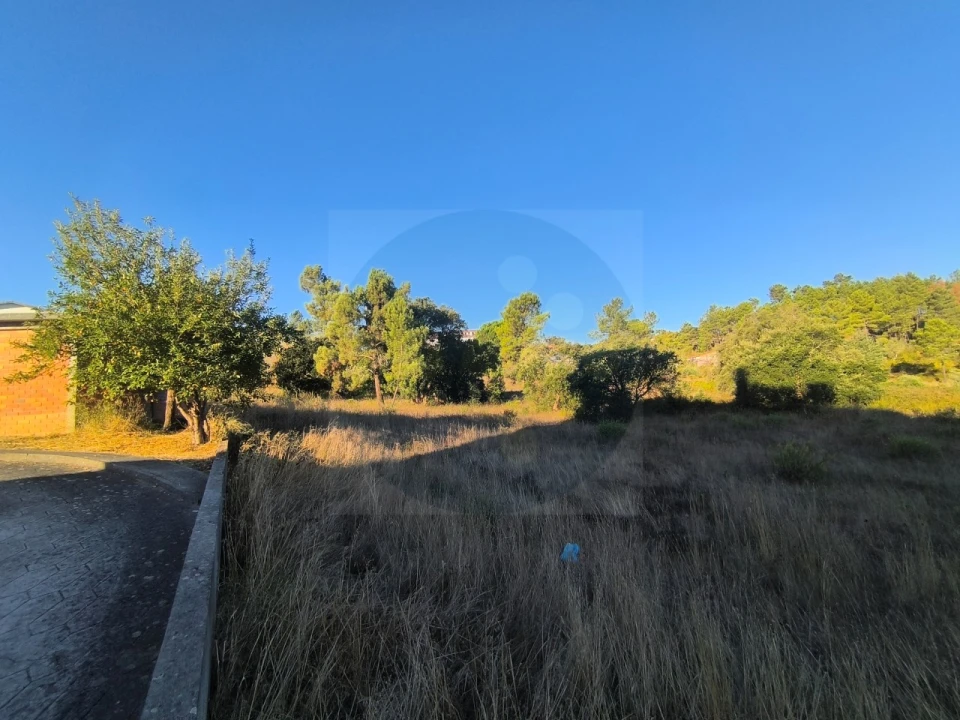 Terreno para Venda em Abrantes (São Vicente e São João) e Alferrarede Foto 6