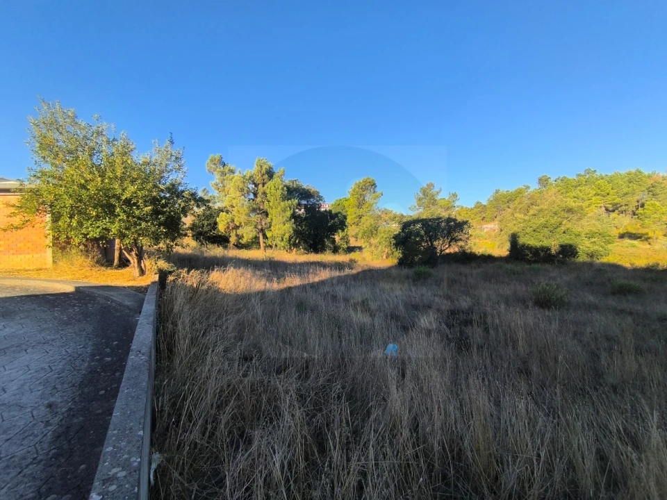 Terreno para Venda em Abrantes (São Vicente e São João) e Alferrarede Foto 7