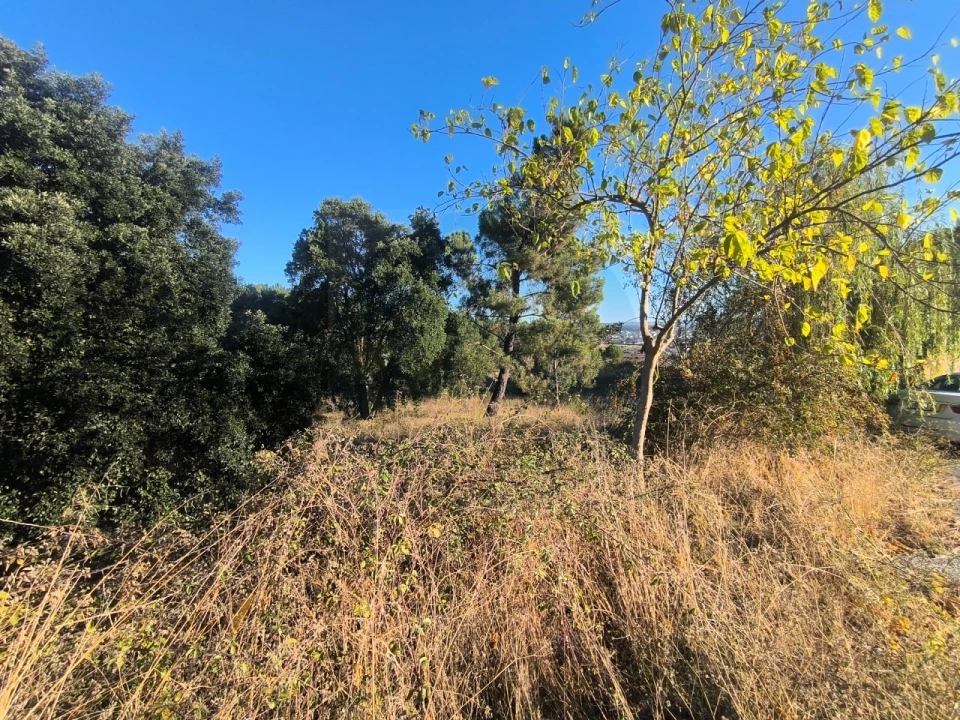 Terreno para Venda em Abrantes (São Vicente e São João) e Alferrarede Foto 9