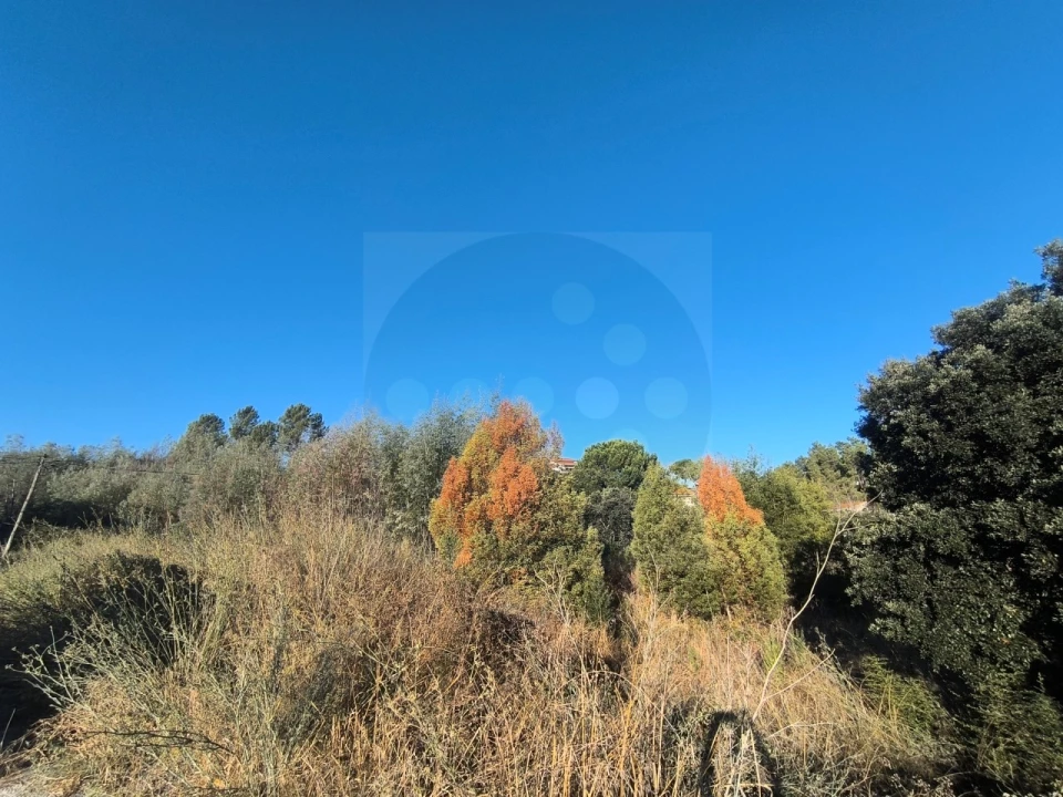 Terreno para Venda em Abrantes (São Vicente e São João) e Alferrarede Foto 10