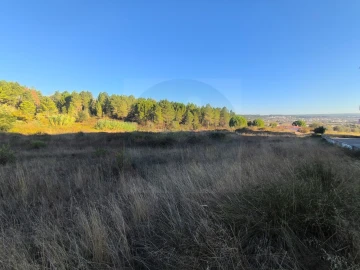 Terreno para Venda em Abrantes (São Vicente e São João) e Alferrarede