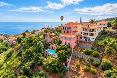 Negócio para Venda em Ponta do Sol