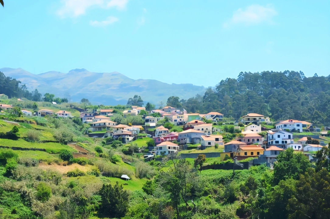 Negócio para Venda em Ponta do Sol Foto 5