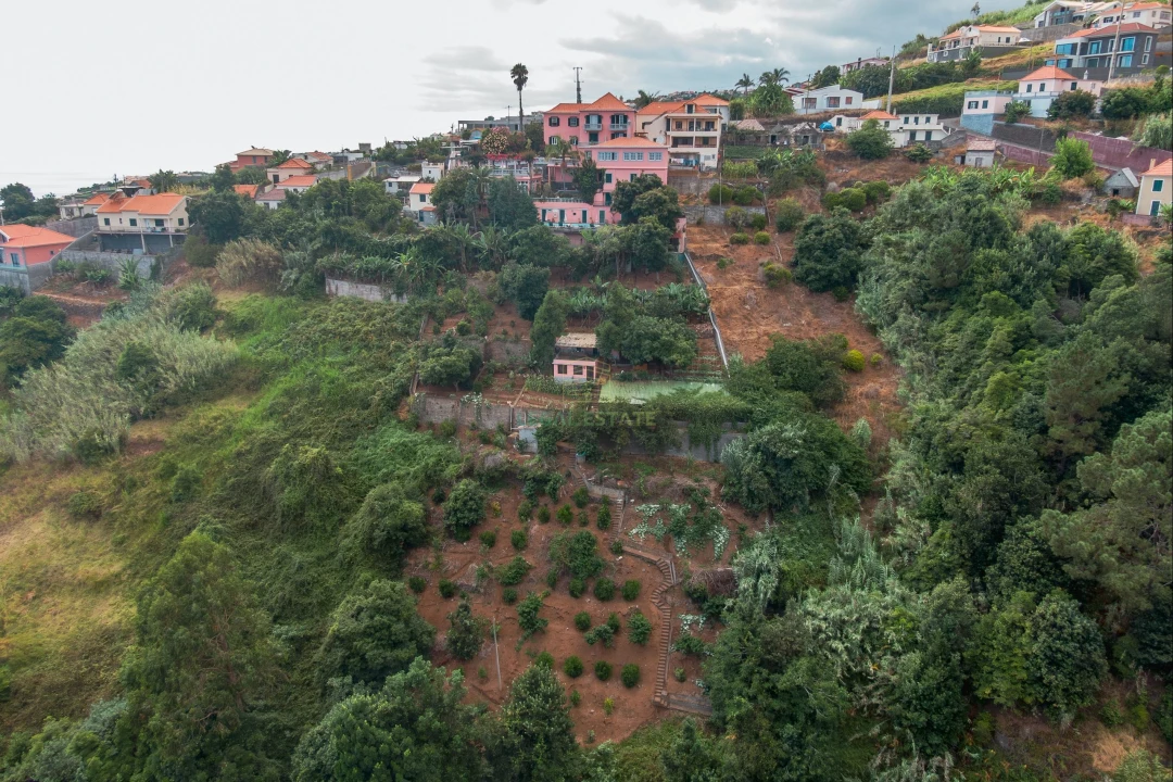 Negócio para Venda em Ponta do Sol Foto 48