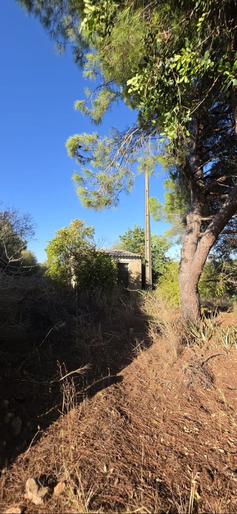 Terreno para Venda em Silves