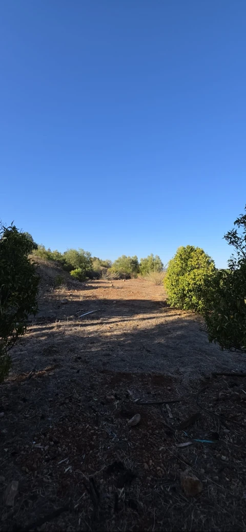 Terreno para Venda em Silves