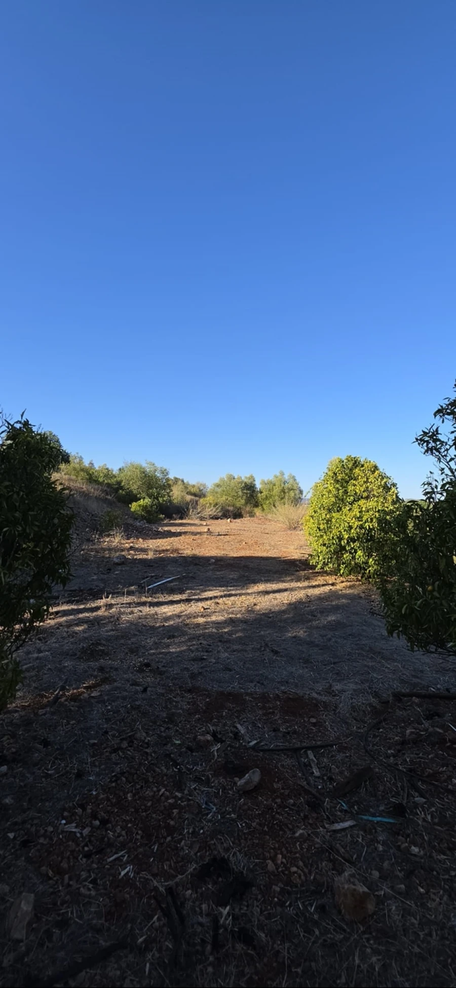 Terreno para Venda em Silves Foto 2