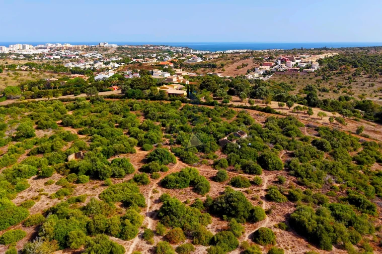 Terreno para Venda em Lagos (São Sebastião e Santa Maria) Foto 10