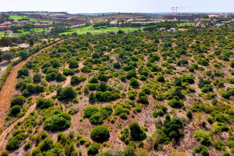 Terreno para Venda em Lagos (São Sebastião e Santa Maria) Foto 7