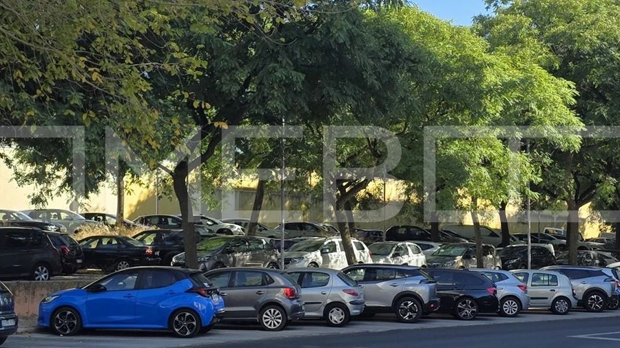Apartamento T3 para Venda em Benfica
