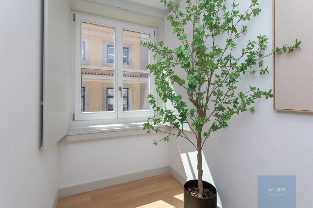 Apartamento T1 para Venda em Santa Maria Maior Foto 20