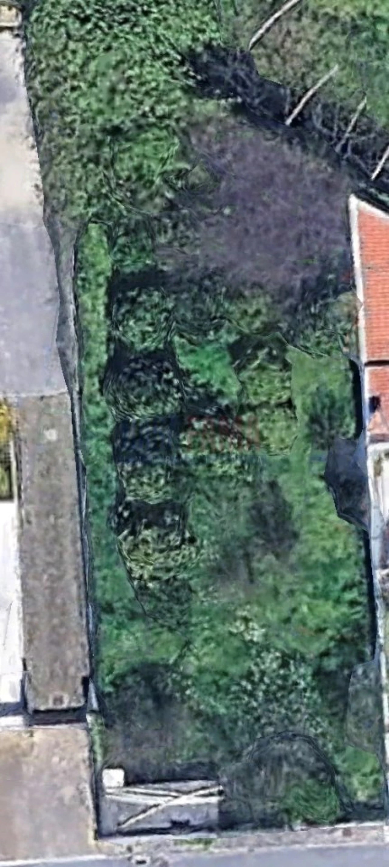 Terreno para Venda em Aver-O-Mar, Amorim e Terroso Foto 4