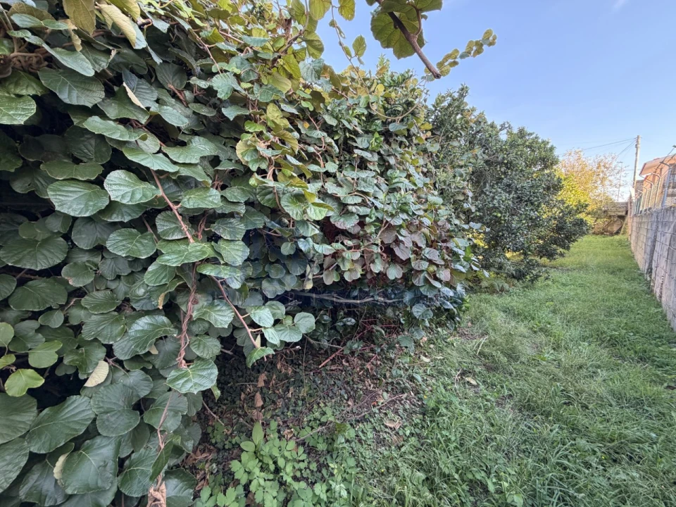 Terreno para Venda em Aver-O-Mar, Amorim e Terroso Foto 8