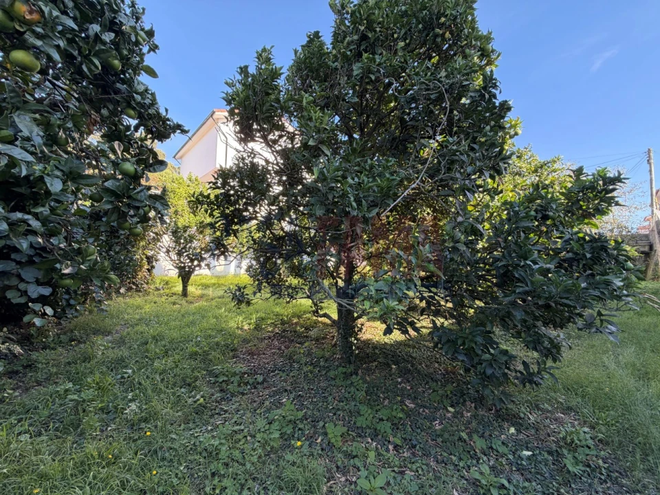 Terreno para Venda em Aver-O-Mar, Amorim e Terroso Foto 9