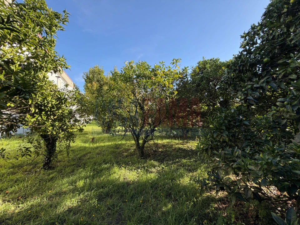Terreno para Venda em Aver-O-Mar, Amorim e Terroso Foto 10
