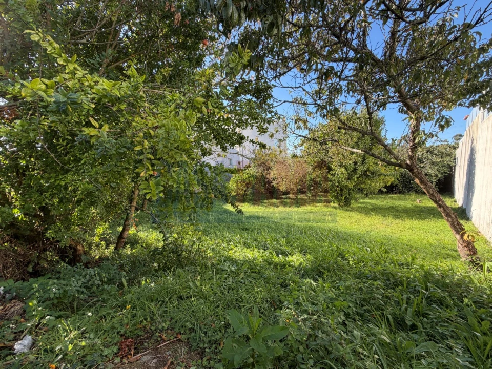 Terreno para Venda em Aver-O-Mar, Amorim e Terroso Foto 15