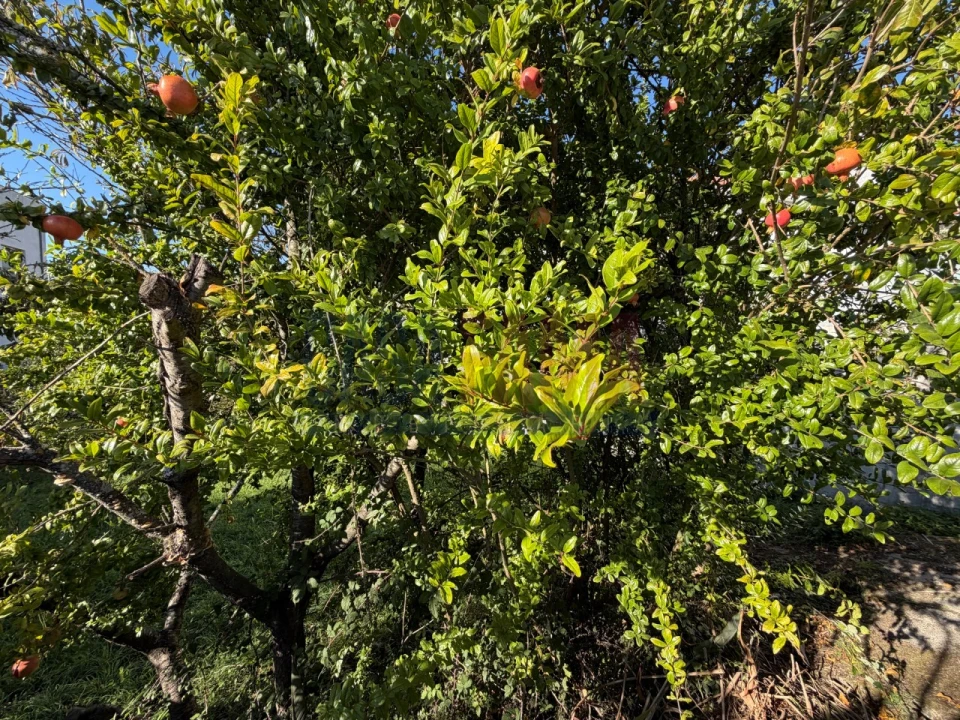 Terreno para Venda em Aver-O-Mar, Amorim e Terroso Foto 20