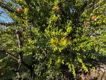 Terreno para Venda em Aver-O-Mar, Amorim e Terroso
