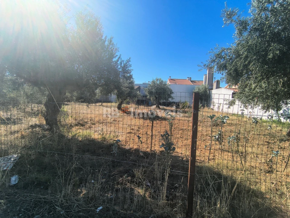 Terreno para Venda em São João Baptista Foto 2