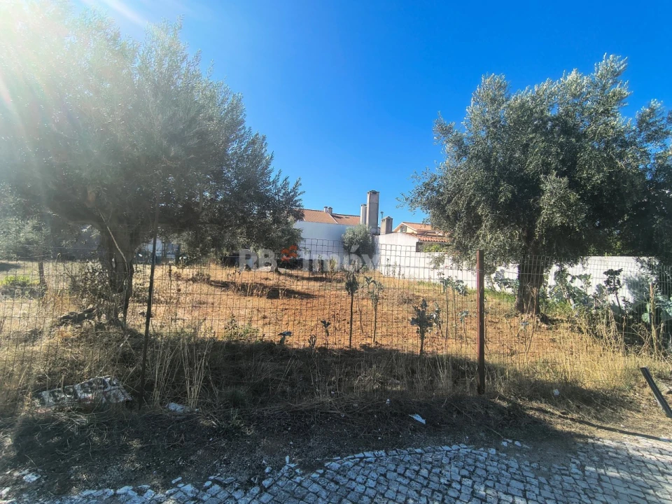 Terreno para Venda em São João Baptista Foto 3