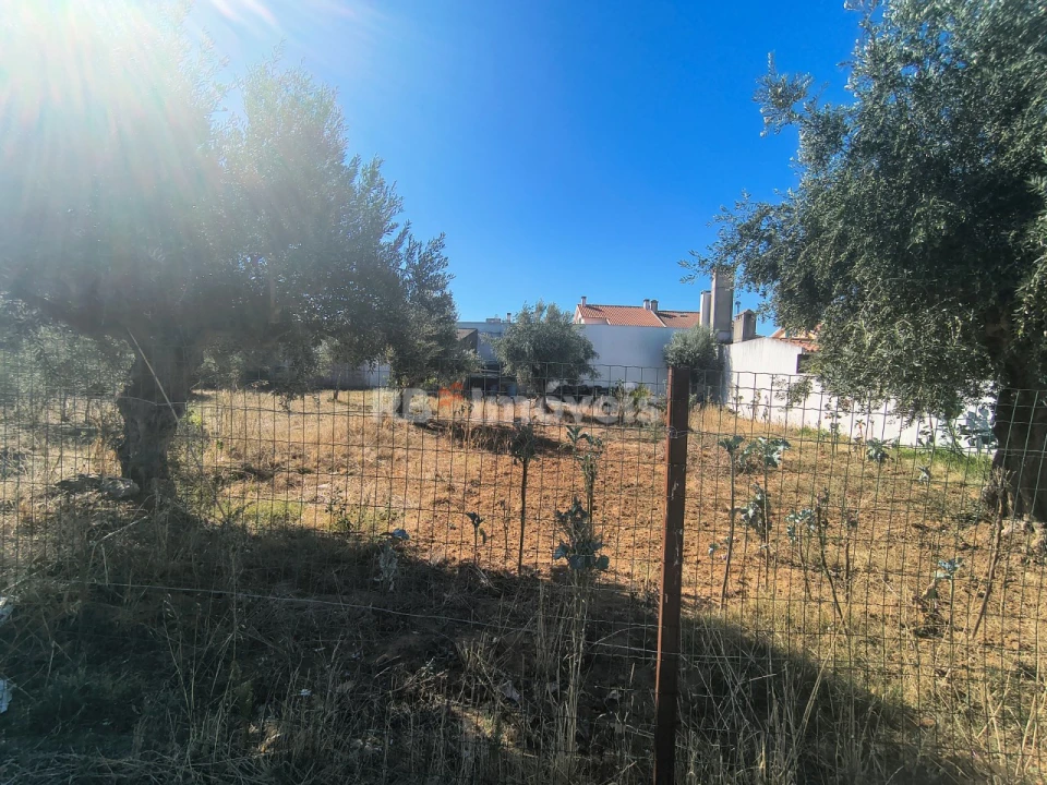 Terreno para Venda em São João Baptista Foto 4