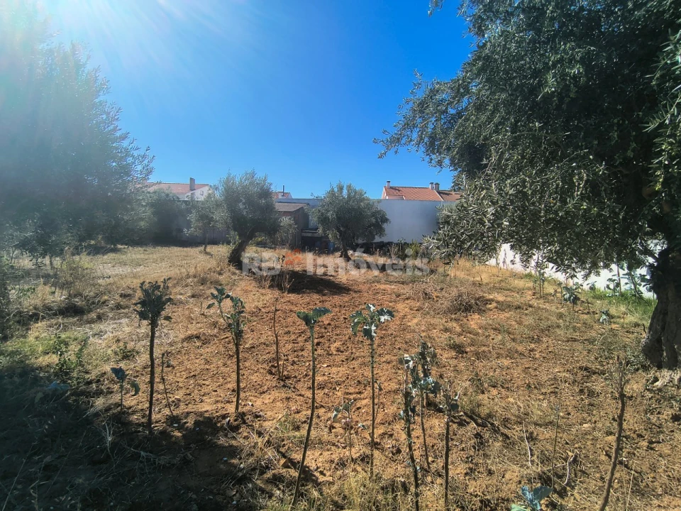 Terreno para Venda em São João Baptista Foto 5