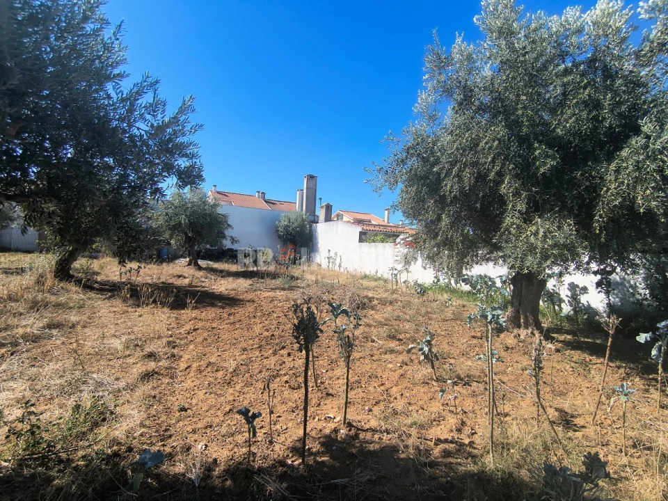 Terreno para Venda em São João Baptista Foto 6
