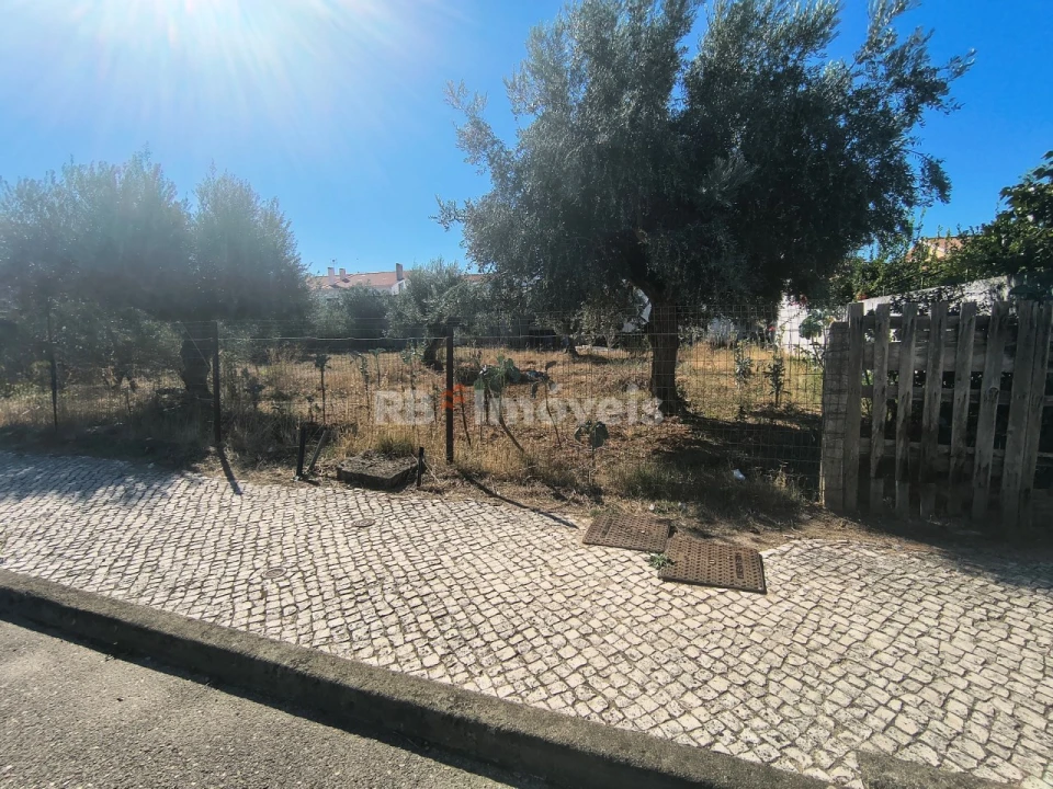 Terreno para Venda em São João Baptista Foto 8