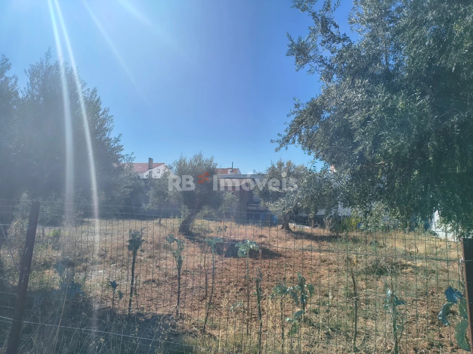 Terreno para Venda em São João Baptista Foto 10