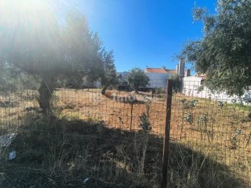 Terreno para Venda em São João Baptista