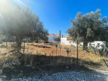Terreno para Venda em São João Baptista