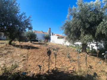 Terreno para Venda em São João Baptista
