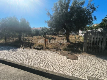 Terreno para Venda em São João Baptista