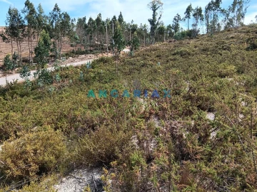 Terreno Agricola ou Rústico para Venda em Espite