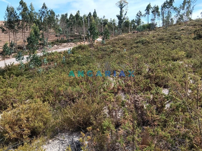 Terreno Agricola ou Rústico para Venda em Espite Foto 3