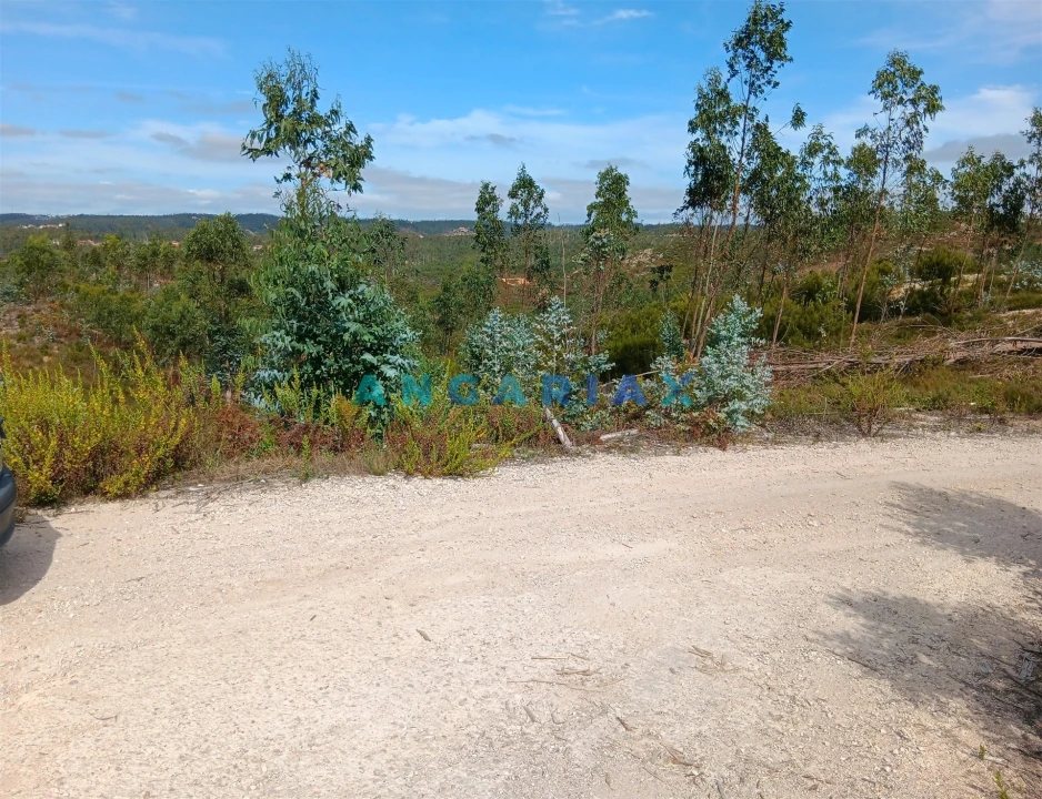 Terreno Agricola ou Rústico para Venda em Espite Foto 2