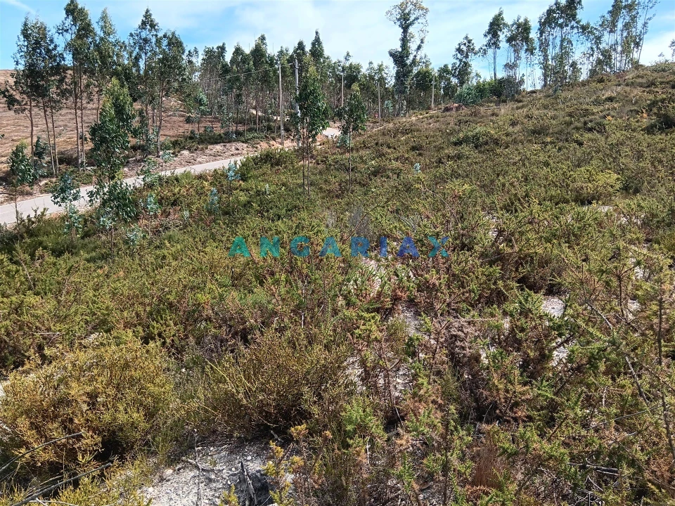 Terreno Agricola ou Rústico para Venda em Espite Foto 3
