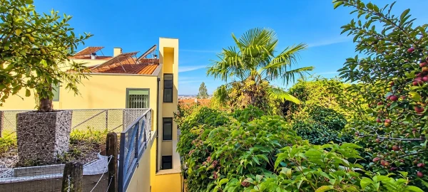 Moradia T6 para Venda em Santo Antonio dos Olivais