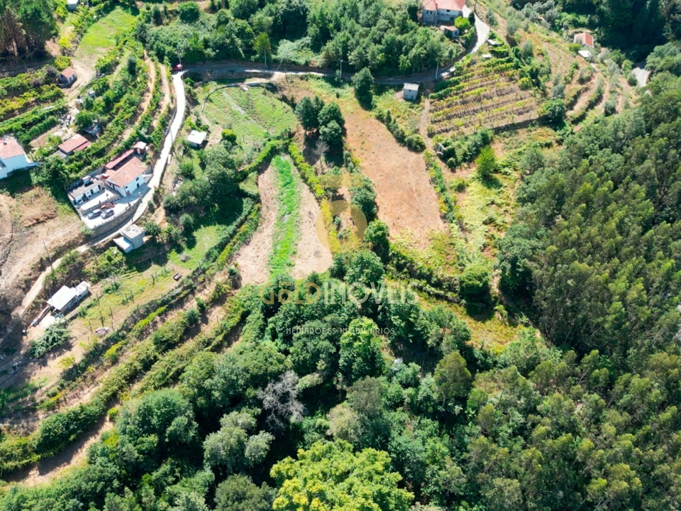 Terreno Agricola ou Rústico para Venda em Travanca Foto 3