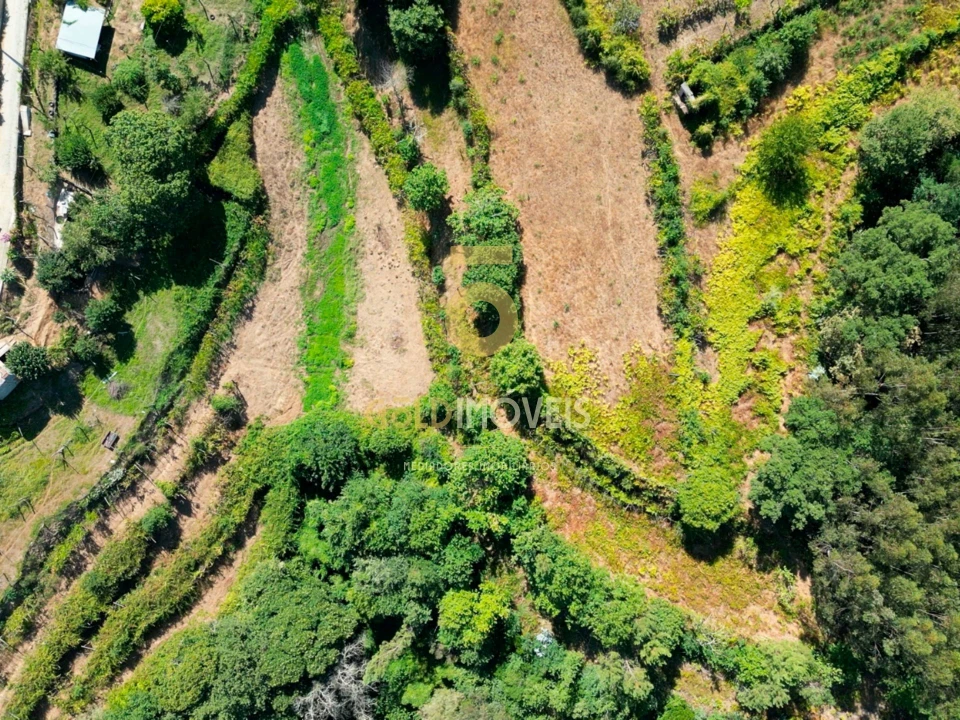 Terreno Agricola ou Rústico para Venda em Travanca Foto 4