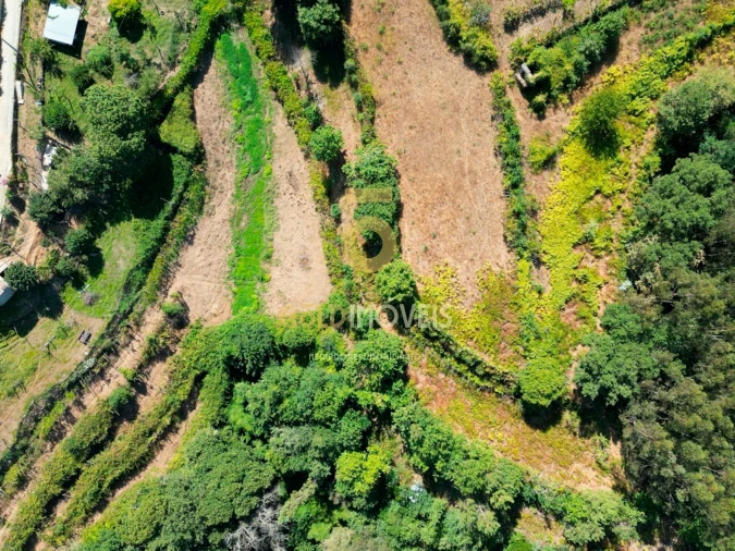 Terreno Agricola ou Rústico para Venda em Travanca Foto 4