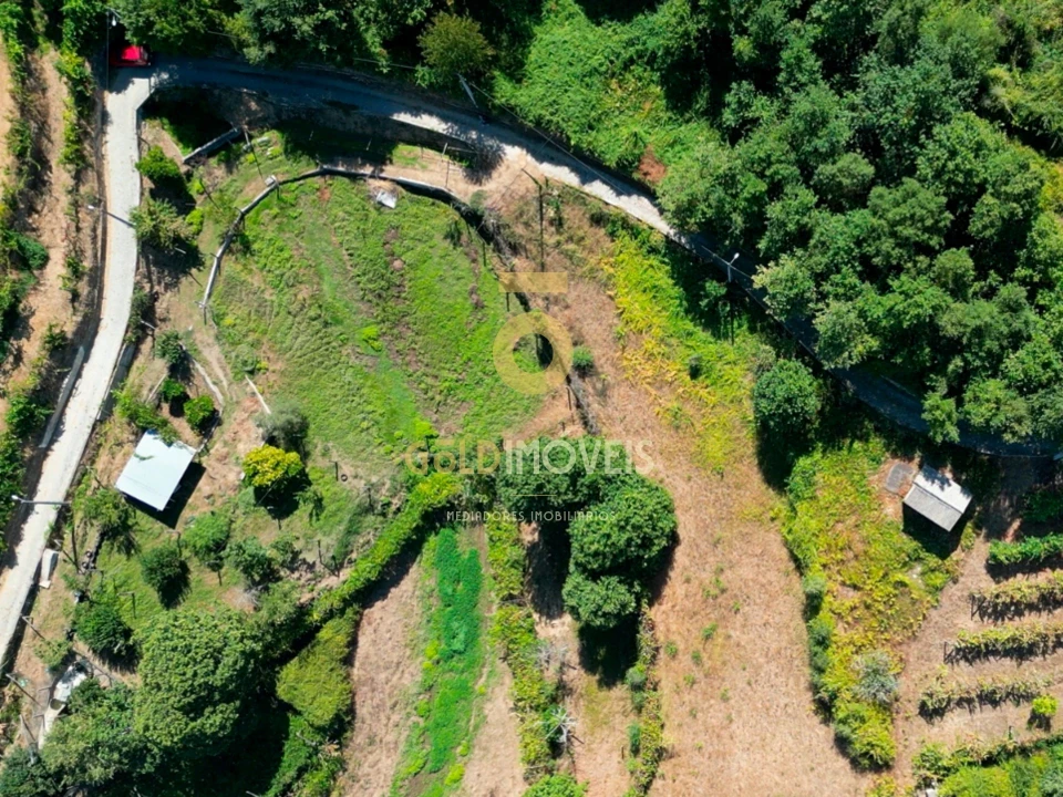 Terreno Agricola ou Rústico para Venda em Travanca Foto 1