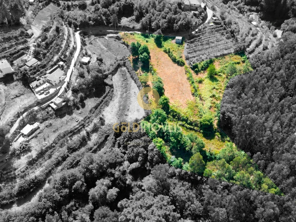Terreno Agricola ou Rústico para Venda em Travanca Foto 5